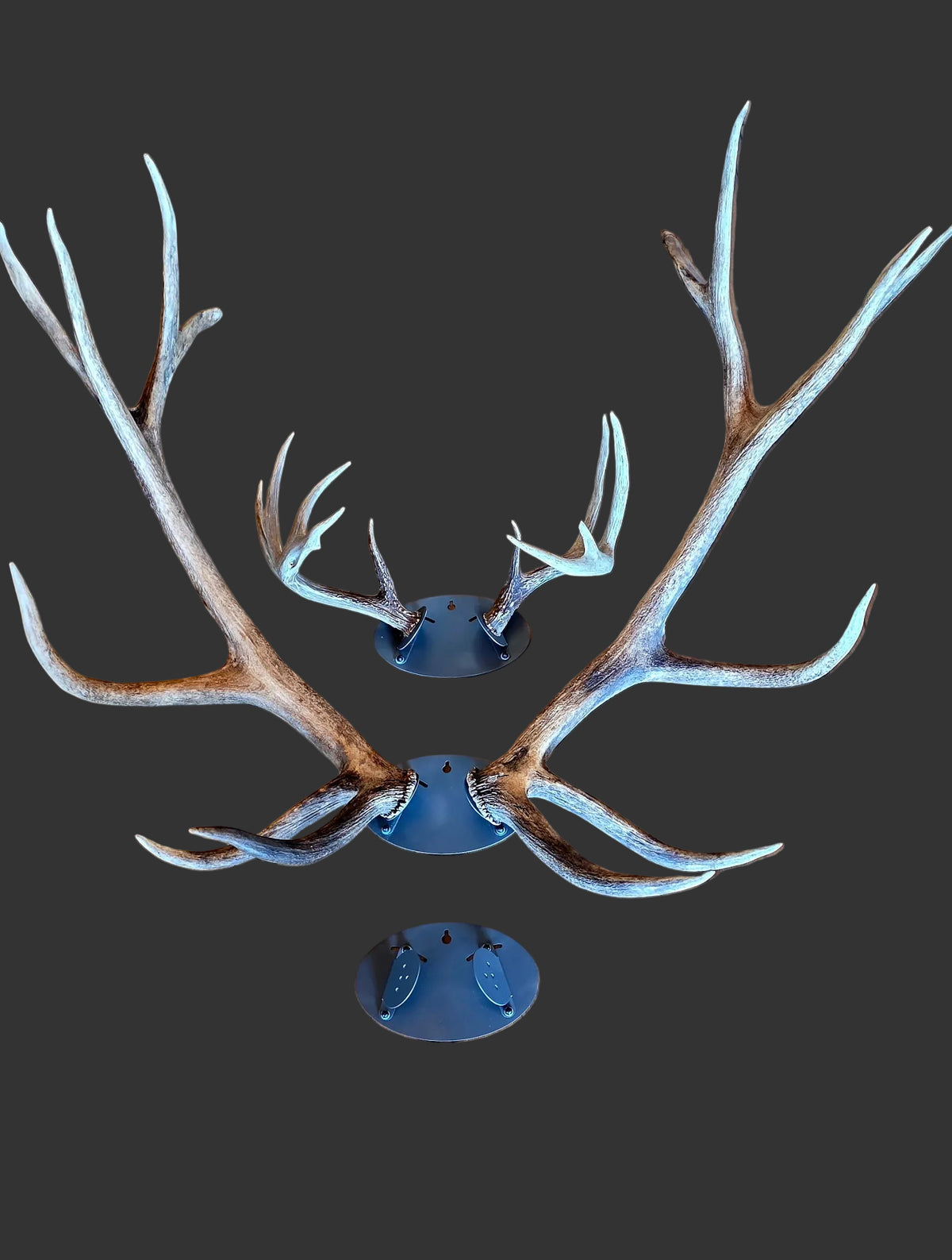 Whiskey Gulch Antler Mount – DIY Display Kit for Elk, Deer & Moose